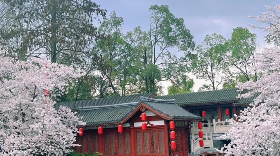 aircraft search  newsaircraft search  newsaircraft search  newsaircraft search  newsaircraft search  news